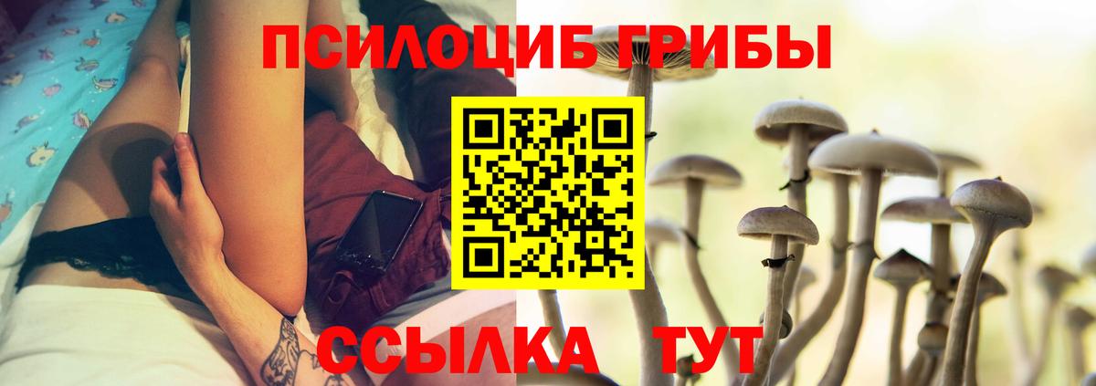 Псилоцибиновые грибы GOLDEN TEACHER  Вход с VPN  Лосино-Петровский 